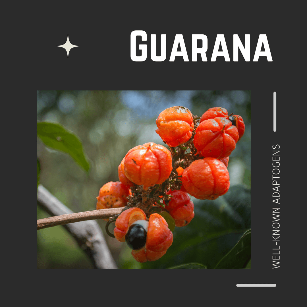 Guarana