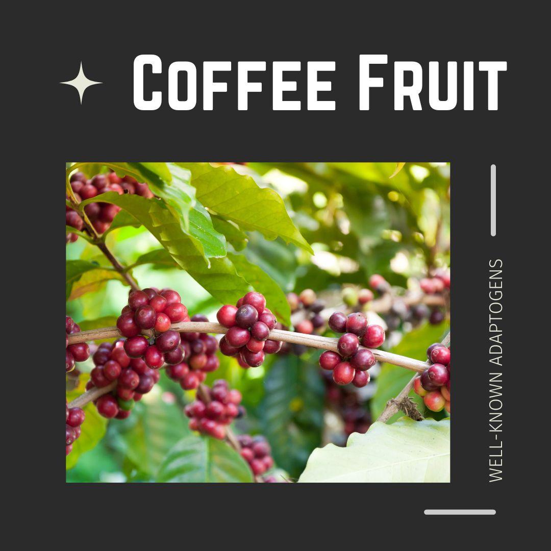 Coffee Fruit