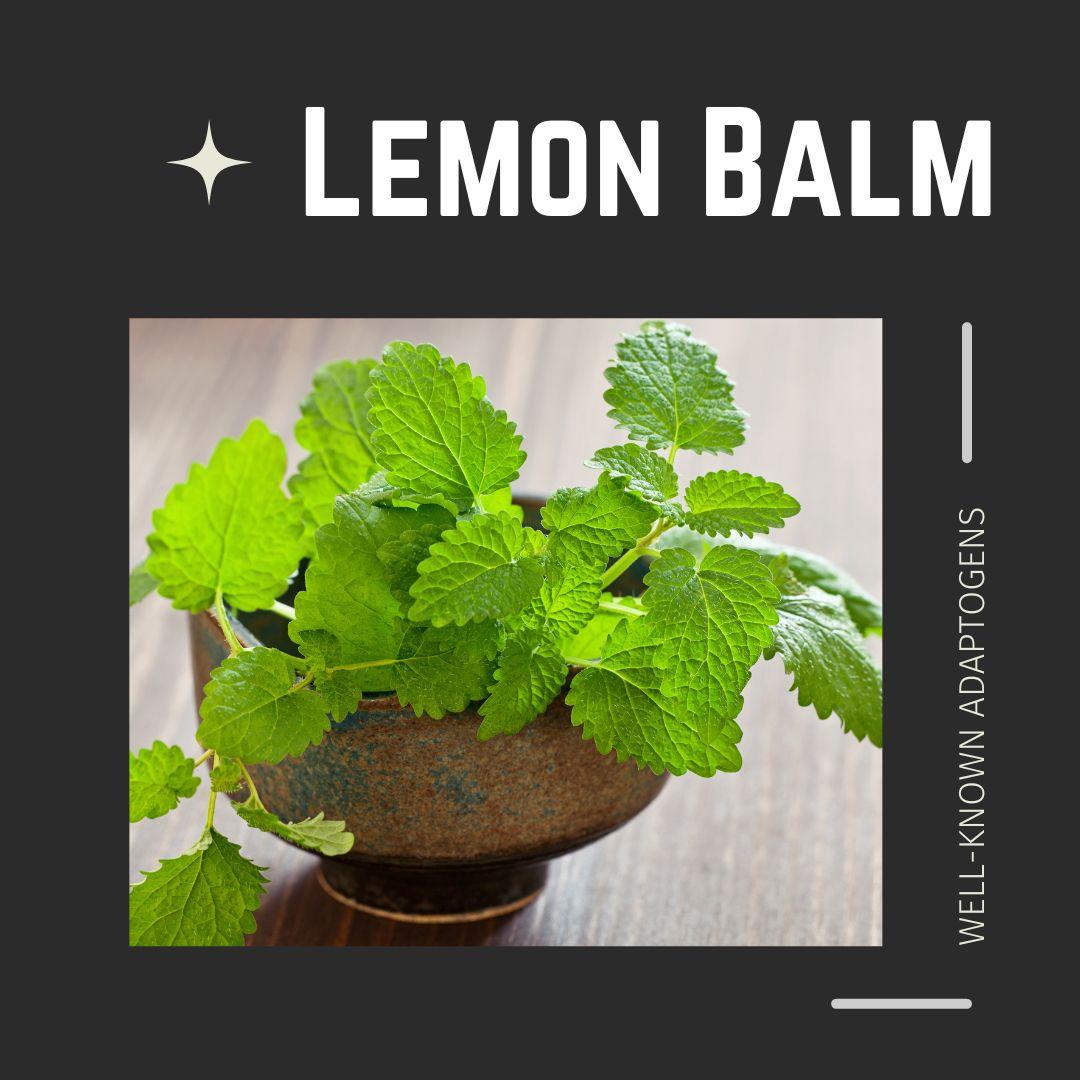 Lemon Balm