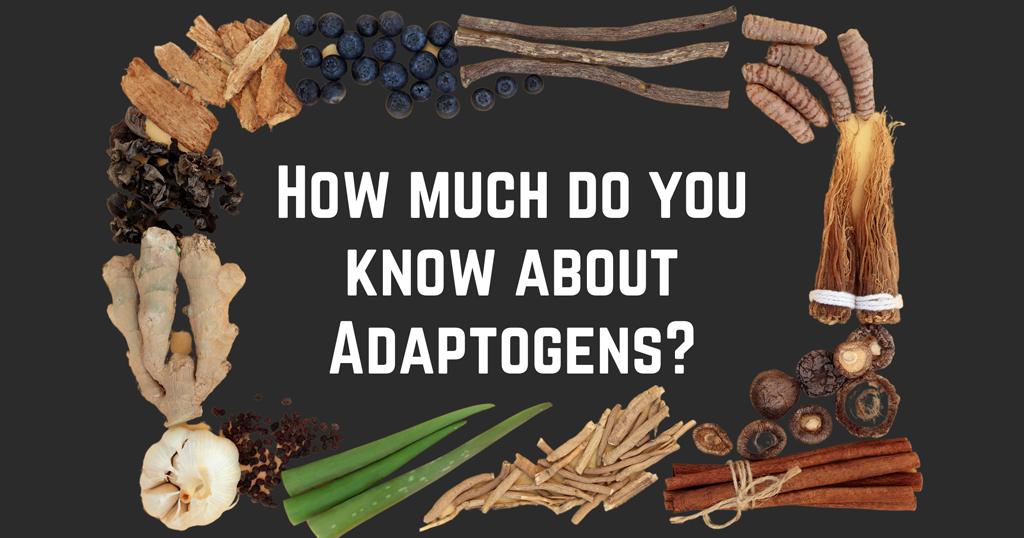 Adaptogens Quiz